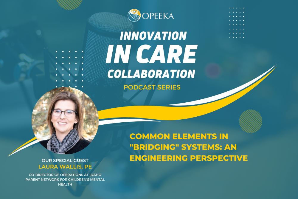 Common Elements In "Bridging" Systems: An Engineering Perspective